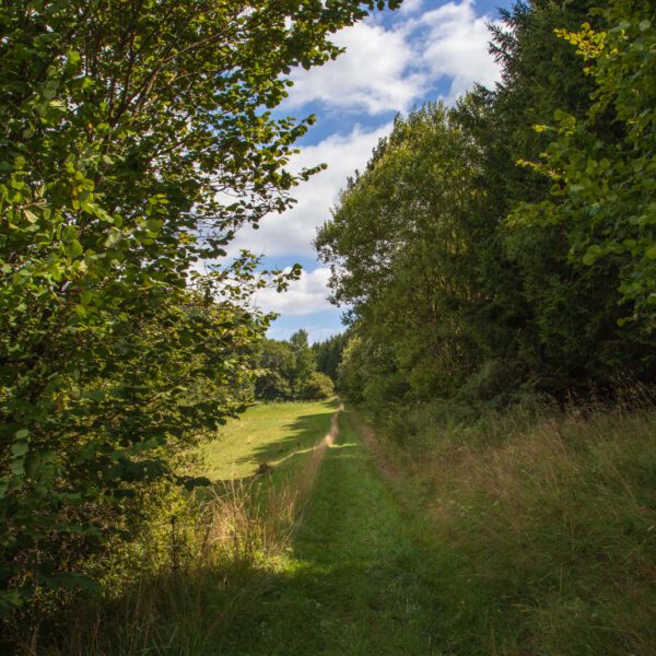 Deutschland, Germany, Hinterland, Lahn-Dill-Bergland, Sommer, Summer