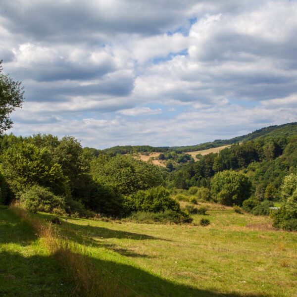 Deutschland, Germany, Hinterland, Lahn-Dill-Bergland, Sommer, Summer