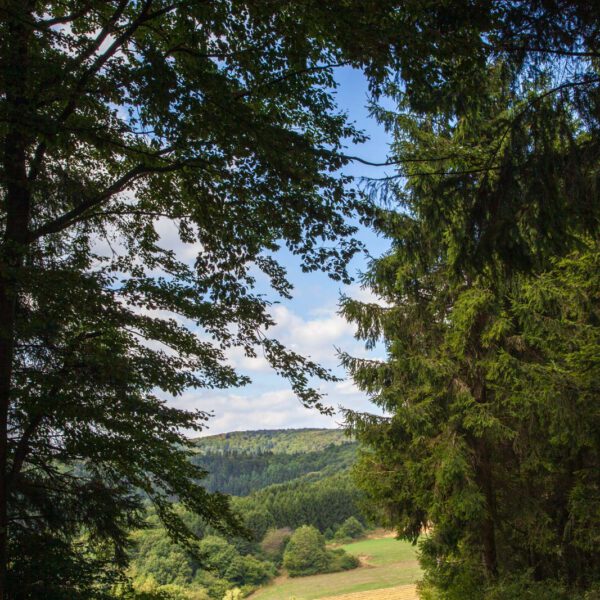 Deutschland, Germany, Hinterland, Lahn-Dill-Bergland, Sommer, Summer