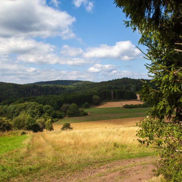 Deutschland, Germany, Hinterland, Lahn-Dill-Bergland, Sommer, Summer