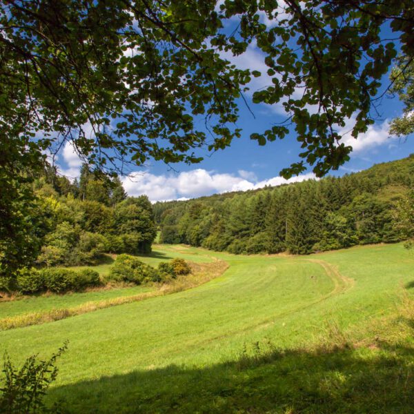 Deutschland, Germany, Hinterland, Lahn-Dill-Bergland, Sommer, Summer