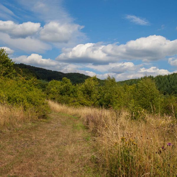 Deutschland, Germany, Hinterland, Lahn-Dill-Bergland, Sommer, Summer