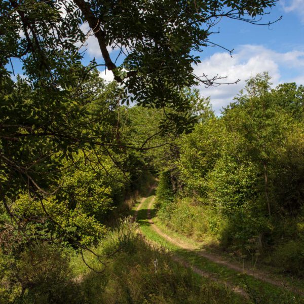 Deutschland, Germany, Hinterland, Lahn-Dill-Bergland, Sommer, Summer