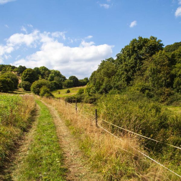 Deutschland, Germany, Hinterland, Lahn-Dill-Bergland, Sommer, Summer