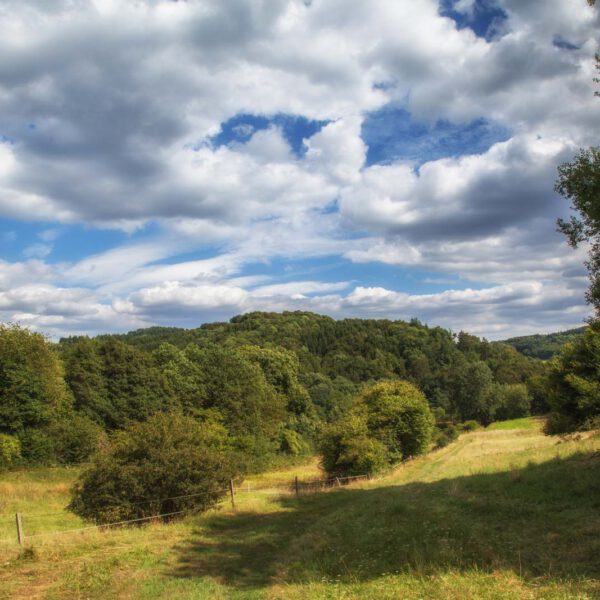Deutschland, Germany, Hinterland, Lahn-Dill-Bergland, Sommer, Summer