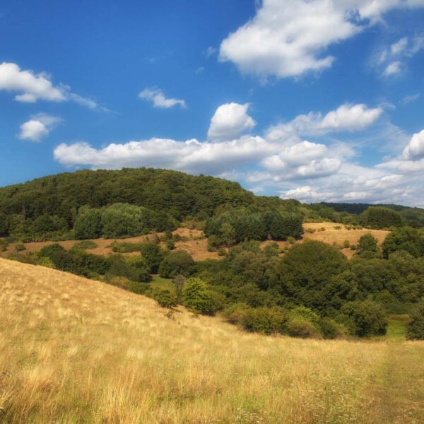 Deutschland, Germany, Hinterland, Lahn-Dill-Bergland, Sommer, Summer