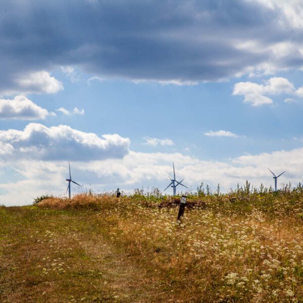 Deutschland, Germany, Hinterland, Lahn-Dill-Bergland, Sommer, Summer
