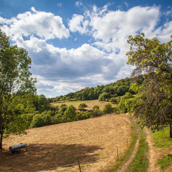 Deutschland, Germany, Hinterland, Lahn-Dill-Bergland, Sommer, Summer