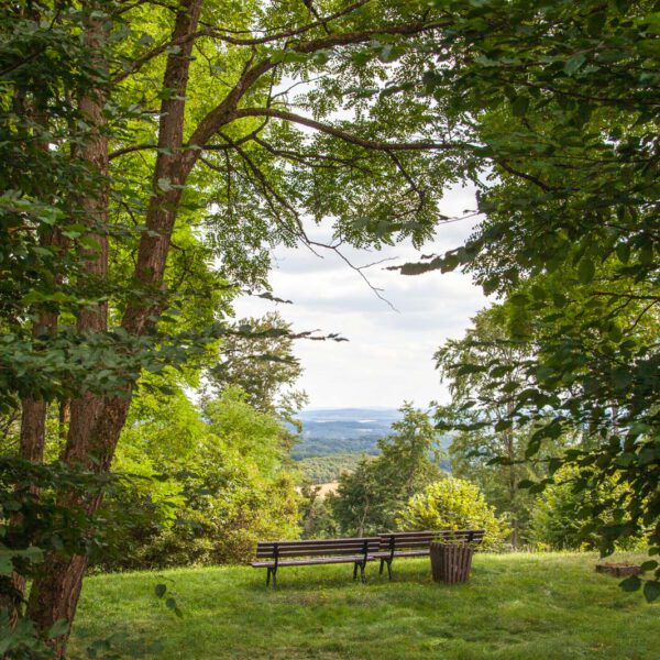 Deutschland, Germany, Hinterland, Lahn-Dill-Bergland, Sommer, Summer
