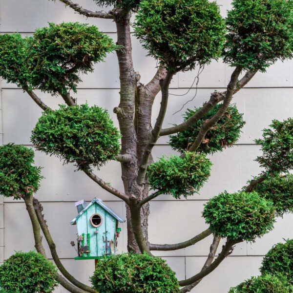 Deutschland, Germany, Hinterland, Lahn-Dill-Bergland, Sommer, Summer