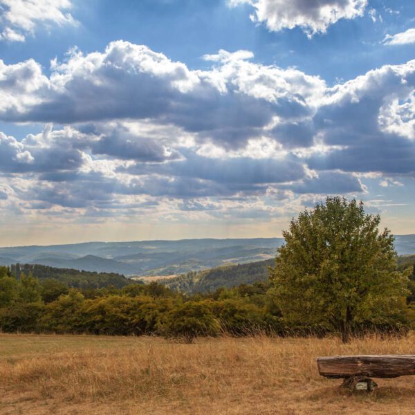 Deutschland, Germany, Hinterland, Lahn-Dill-Bergland, Sommer, Summer