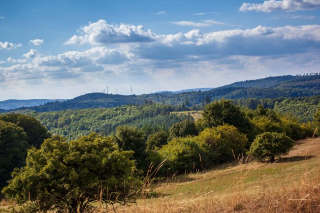 Deutschland, Germany, Hinterland, Lahn-Dill-Bergland, Sommer, Summer