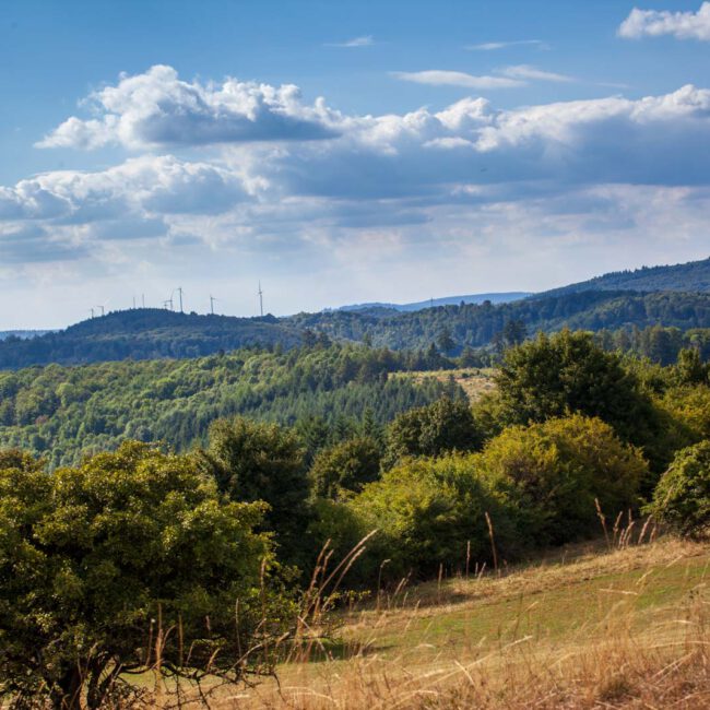 Deutschland, Germany, Hinterland, Lahn-Dill-Bergland, Sommer, Summer