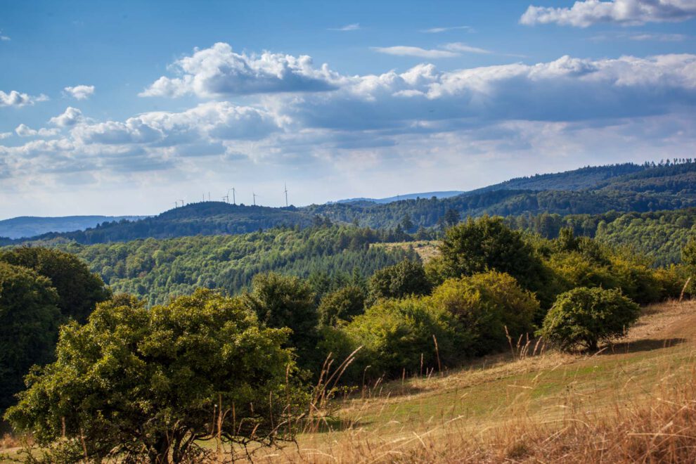 Deutschland, Germany, Hinterland, Lahn-Dill-Bergland, Sommer, Summer