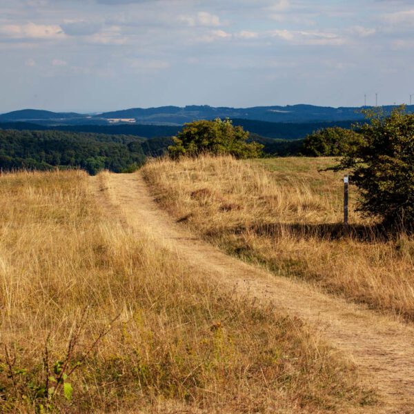 Deutschland, Germany, Hinterland, Lahn-Dill-Bergland, Sommer, Summer