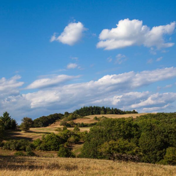 Deutschland, Germany, Hinterland, Lahn-Dill-Bergland, Sommer, Summer