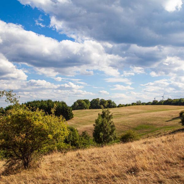 Deutschland, Germany, Hinterland, Lahn-Dill-Bergland, Sommer, Summer