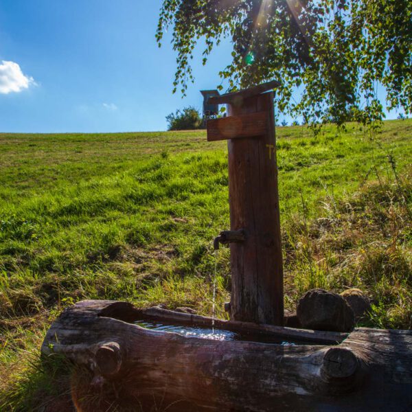 Deutschland, Germany, Hinterland, Lahn-Dill-Bergland, Sommer, Summer