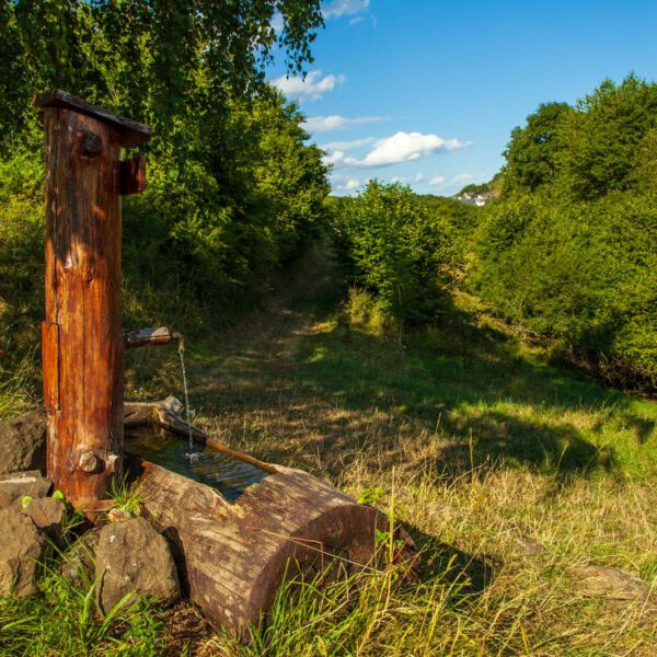 Deutschland, Germany, Hinterland, Lahn-Dill-Bergland, Sommer, Summer