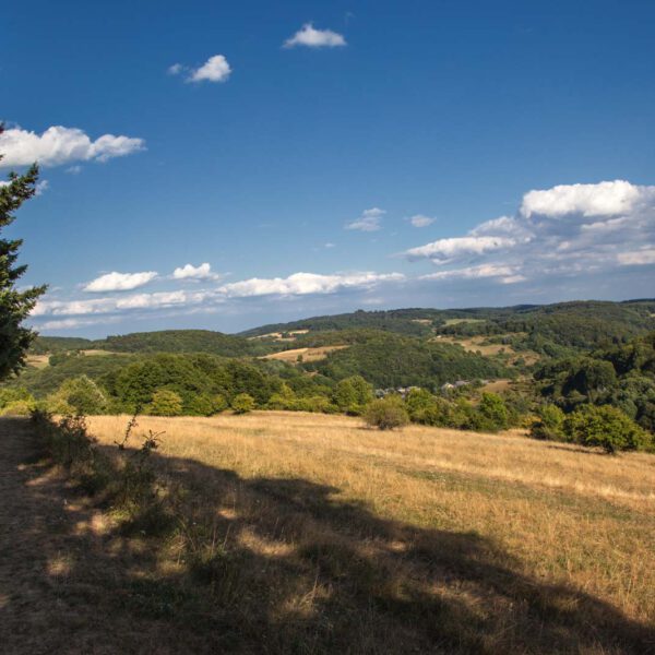 Deutschland, Germany, Hinterland, Lahn-Dill-Bergland, Sommer, Summer