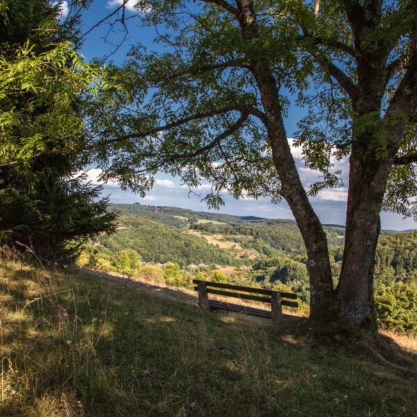 Deutschland, Germany, Hinterland, Lahn-Dill-Bergland, Sommer, Summer