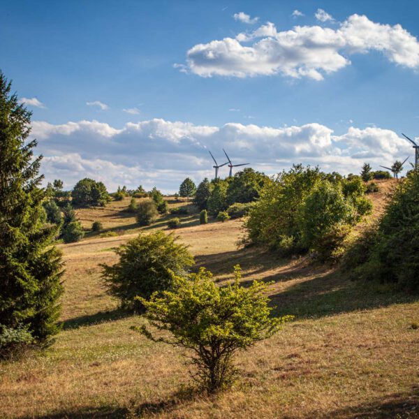 Deutschland, Germany, Hinterland, Lahn-Dill-Bergland, Sommer, Summer