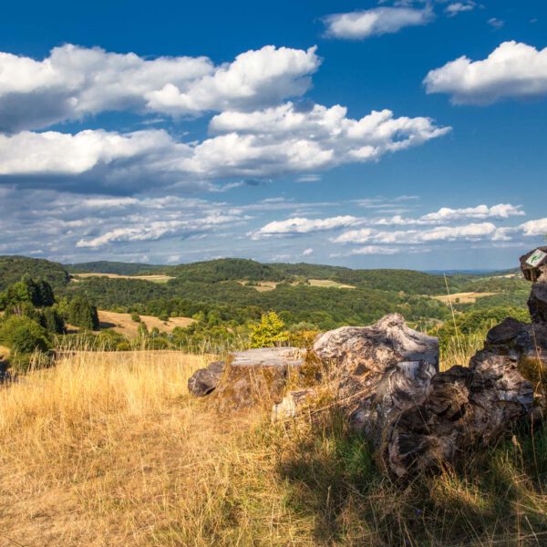 Deutschland, Germany, Hinterland, Lahn-Dill-Bergland, Sommer, Summer