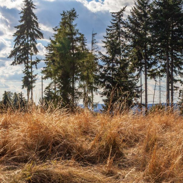 Deutschland, Germany, Hinterland, Lahn-Dill-Bergland, Sommer, Summer
