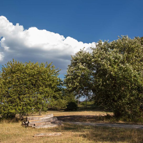 Deutschland, Germany, Hinterland, Lahn-Dill-Bergland, Sommer, Summer