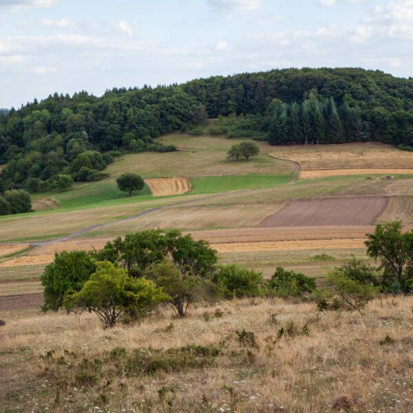 Deutschland, Germany, Hinterland, Lahn-Dill-Bergland, Sommer, Summer