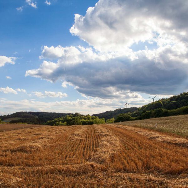 Deutschland, Germany, Hinterland, Lahn-Dill-Bergland, Sommer, Summer
