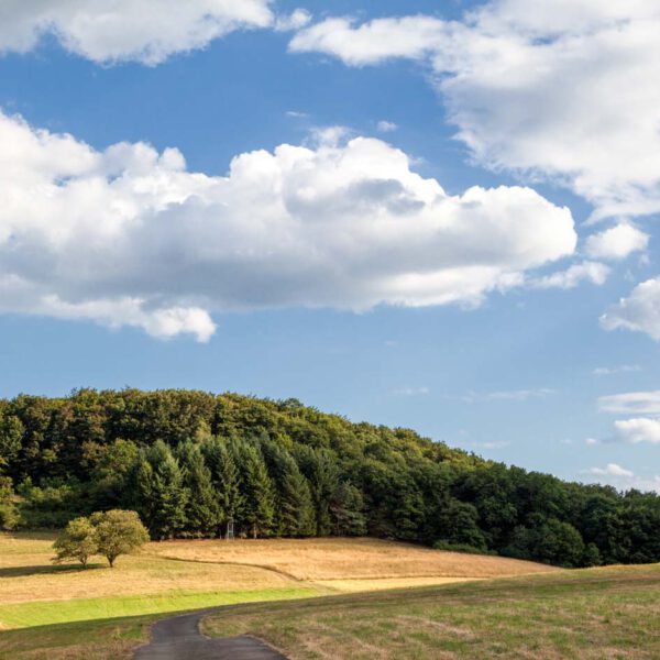 Deutschland, Germany, Hinterland, Lahn-Dill-Bergland, Sommer, Summer