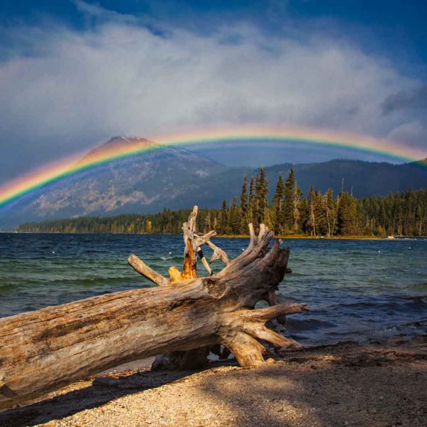 Holiday, Nord-Westen, NorthWest, USA, Urlaub, Vereinigte Staaten