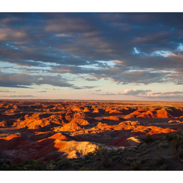 Holidays, Southwest, Süd-Westen, USA, Urlaub, Vereinigte Staaten