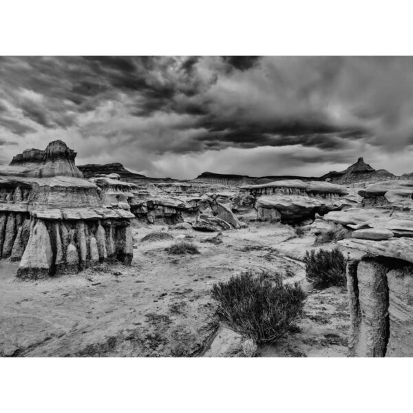 Holidays, Southwest, Süd-Westen, USA, Urlaub, Vereinigte Staaten