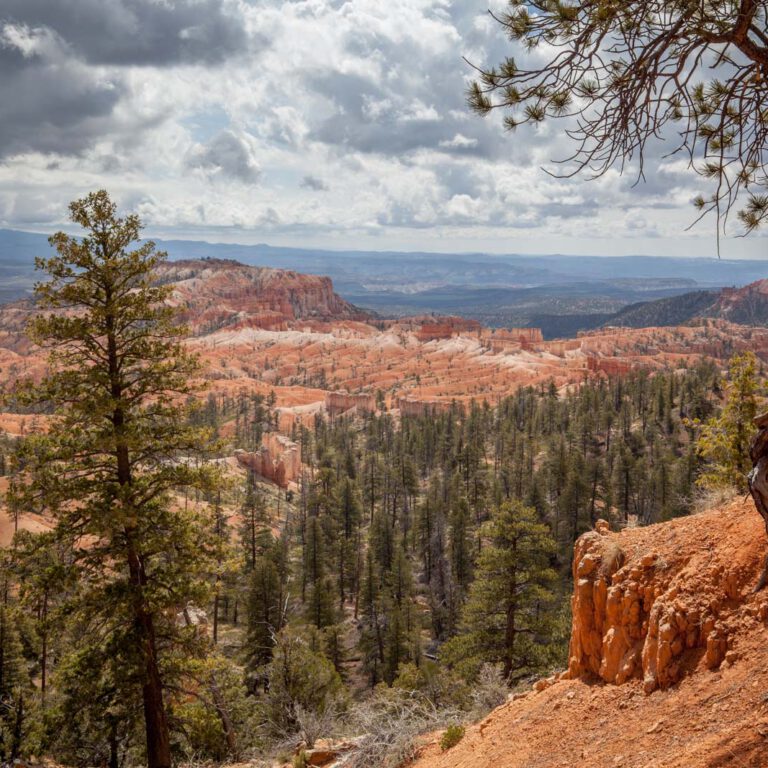 Bryce Canyon NP, Holidays, Southwest, Süd-Westen, USA, Urlaub, Vereinigte Staaten
