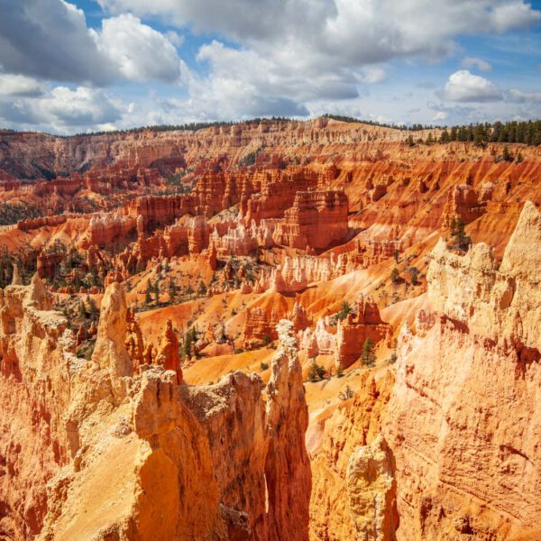 Bryce Canyon NP, Holidays, Southwest, Süd-Westen, USA, Urlaub, Vereinigte Staaten