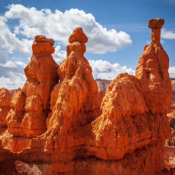 Bryce Canyon NP, Holidays, Southwest, Süd-Westen, USA, Urlaub, Vereinigte Staaten