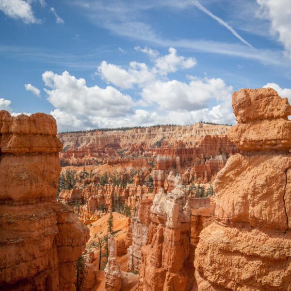 Bryce Canyon NP, Holidays, Southwest, Süd-Westen, USA, Urlaub, Vereinigte Staaten