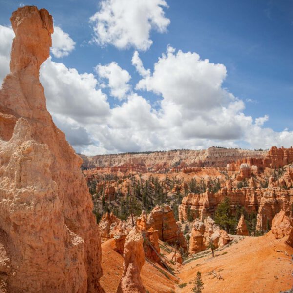 Bryce Canyon NP, Holidays, Southwest, Süd-Westen, USA, Urlaub, Vereinigte Staaten