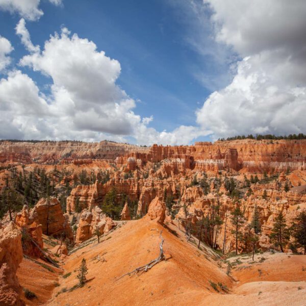 Bryce Canyon NP, Holidays, Southwest, Süd-Westen, USA, Urlaub, Vereinigte Staaten