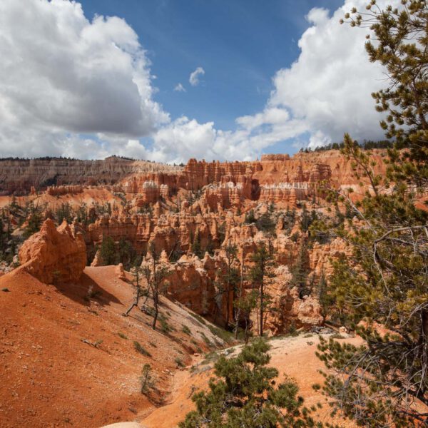 Bryce Canyon NP, Holidays, Southwest, Süd-Westen, USA, Urlaub, Vereinigte Staaten