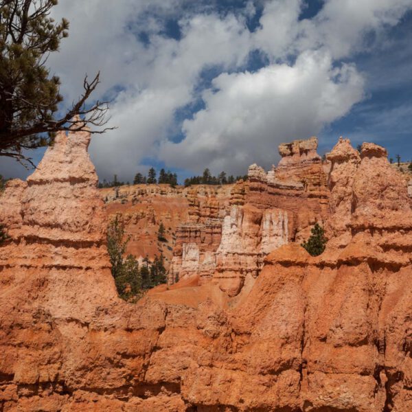 Bryce Canyon NP, Holidays, Southwest, Süd-Westen, USA, Urlaub, Vereinigte Staaten