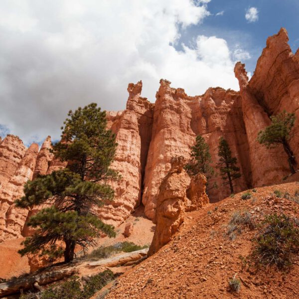 Bryce Canyon NP, Holidays, Southwest, Süd-Westen, USA, Urlaub, Vereinigte Staaten