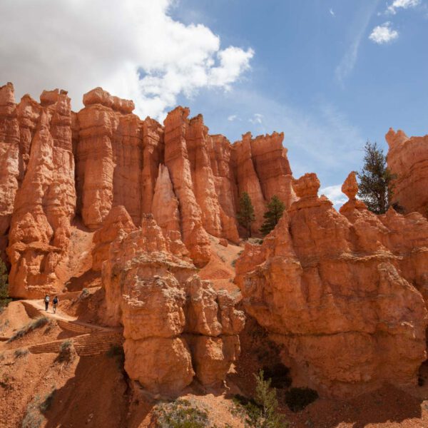 Bryce Canyon NP, Holidays, Southwest, Süd-Westen, USA, Urlaub, Vereinigte Staaten