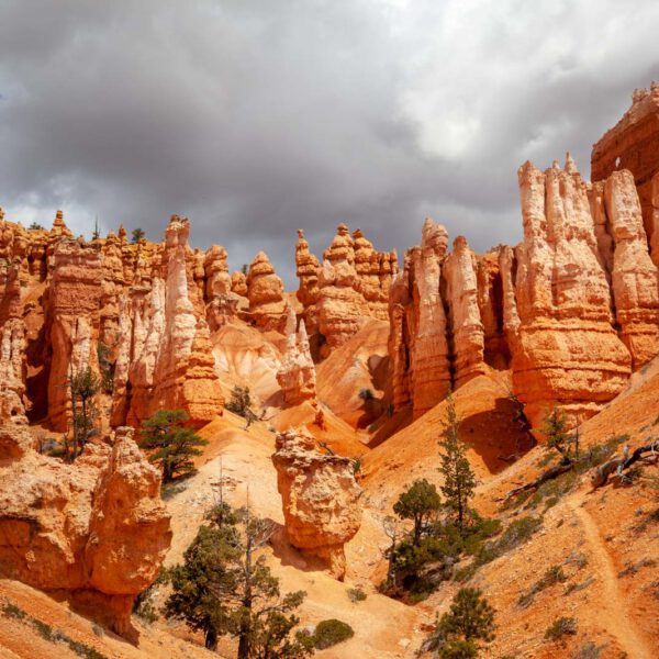 Bryce Canyon NP, Holidays, Southwest, Süd-Westen, USA, Urlaub, Vereinigte Staaten