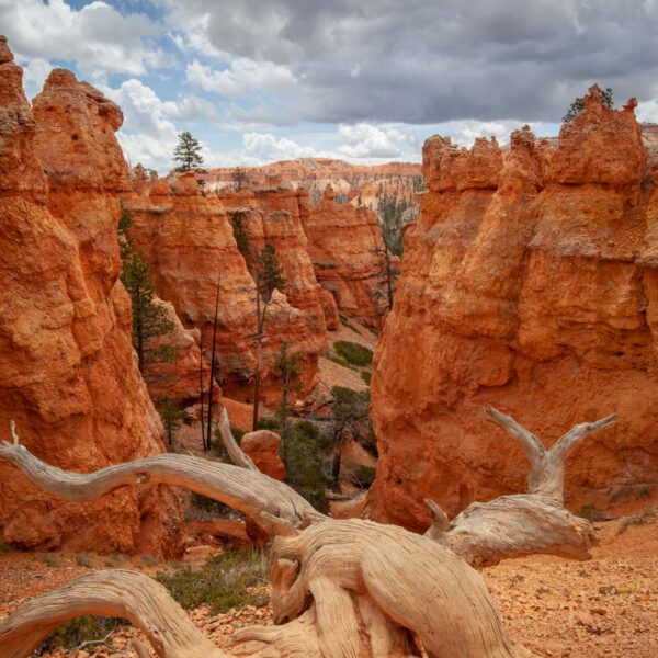 Bryce Canyon NP, Holidays, Southwest, Süd-Westen, USA, Urlaub, Vereinigte Staaten