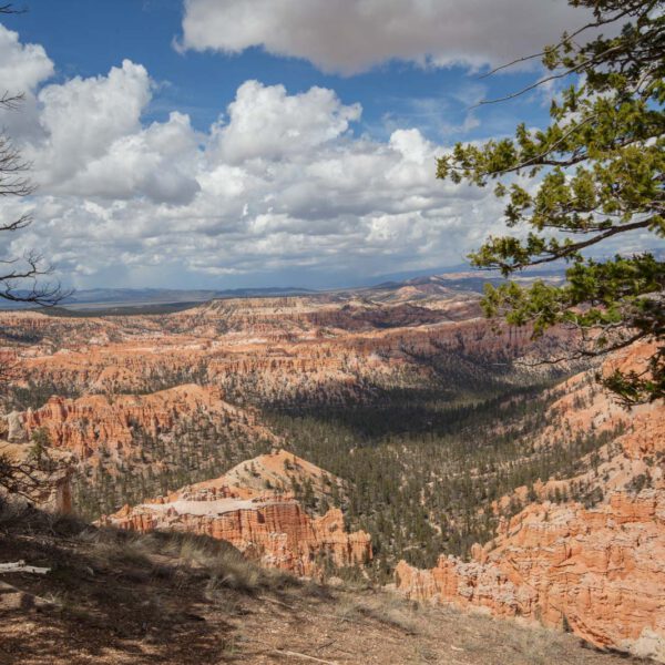 Bryce Canyon NP, Holidays, Southwest, Süd-Westen, USA, Urlaub, Vereinigte Staaten