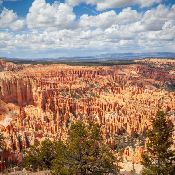 Bryce Canyon NP, Holidays, Southwest, Süd-Westen, USA, Urlaub, Vereinigte Staaten