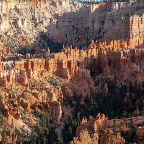 Bryce Canyon NP, Holidays, Southwest, Süd-Westen, USA, Urlaub, Vereinigte Staaten